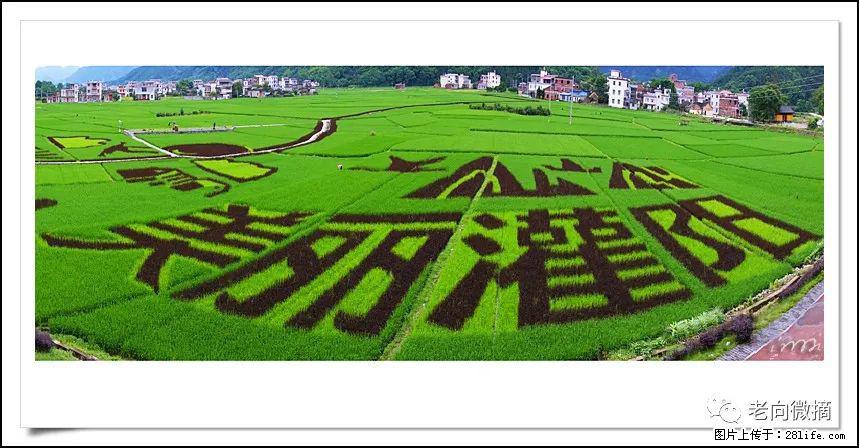 【春天，广西桂林灌阳县向您发出邀请！】开篇 - 游山玩水 - 呼和浩特生活社区 - 呼和浩特28生活网 hu.28life.com