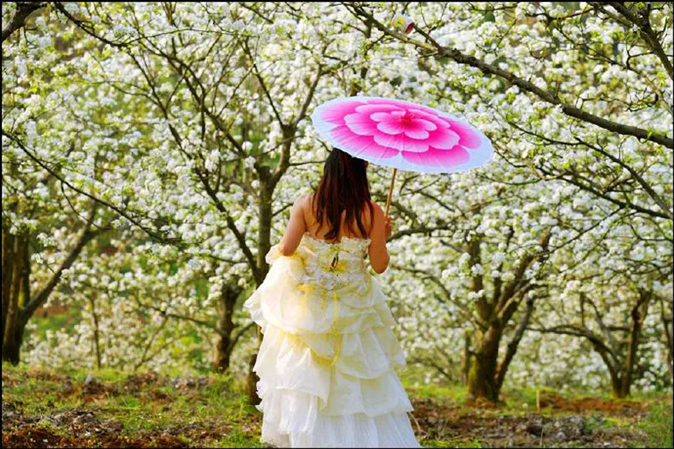 【春天，广西桂林灌阳县向您发出邀请！】我们在灌阳看梨花 - 游山玩水 - 呼和浩特生活社区 - 呼和浩特28生活网 hu.28life.com