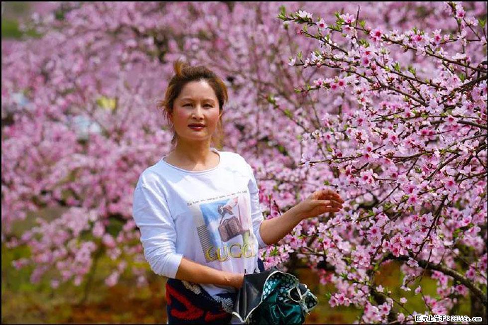 【春天,广西桂林灌阳县向您发出邀请!】官庄村有个醉美的桃花园 - 游山玩水 - 呼和浩特生活社区 - 呼和浩特28生活网 hu.28life.com
