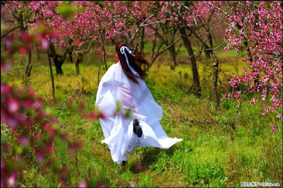 【春天,广西桂林灌阳县向您发出邀请!】官庄村有个醉美的桃花园 - 游山玩水 - 呼和浩特生活社区 - 呼和浩特28生活网 hu.28life.com