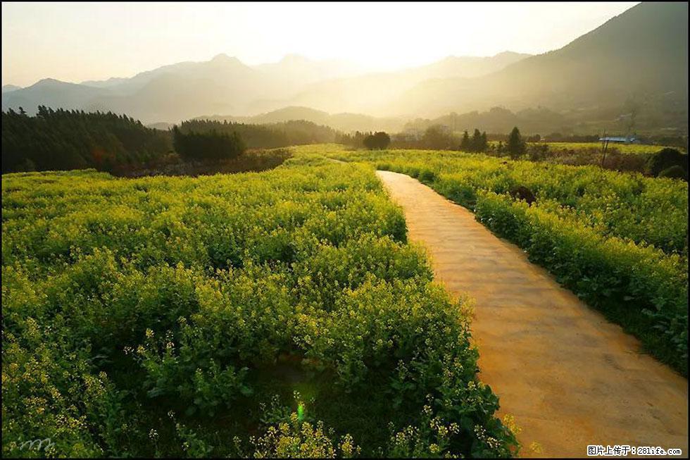 【春天，广西桂林灌阳县向您发出邀请！】长坪村油菜盛情花开 - 游山玩水 - 呼和浩特生活社区 - 呼和浩特28生活网 hu.28life.com