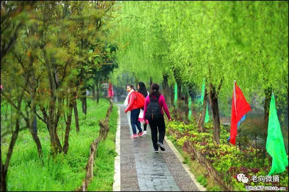 【春天，广西桂林灌阳县向您发出邀请！】江口老街又逢春 - 游山玩水 - 呼和浩特生活社区 - 呼和浩特28生活网 hu.28life.com