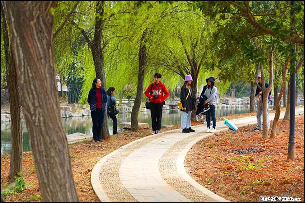 【春天，广西桂林灌阳县向您发出邀请！】江口老街又逢春 - 游山玩水 - 呼和浩特生活社区 - 呼和浩特28生活网 hu.28life.com