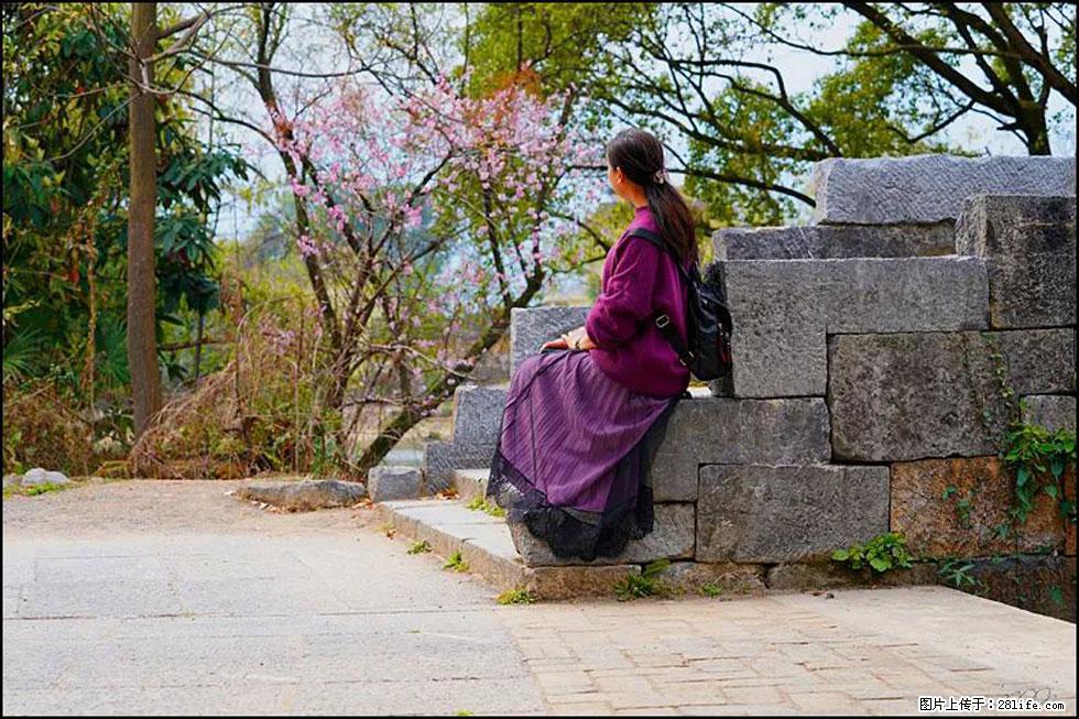 【春天，广西桂林灌阳县向您发出邀请！】江口老街又逢春 - 游山玩水 - 呼和浩特生活社区 - 呼和浩特28生活网 hu.28life.com