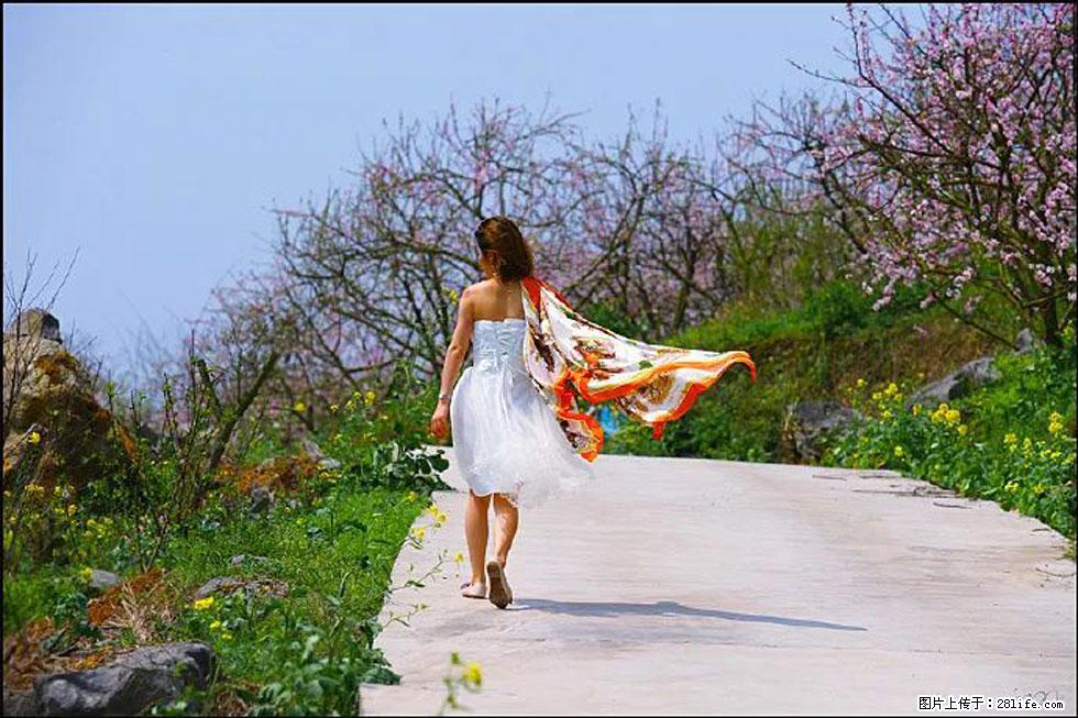 【春天，广西桂林灌阳县向您发出邀请！】望月岭上桃花开 - 游山玩水 - 呼和浩特生活社区 - 呼和浩特28生活网 hu.28life.com