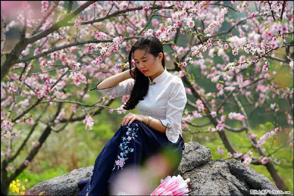 【春天，广西桂林灌阳县向您发出邀请！】望月岭上桃花开 - 游山玩水 - 呼和浩特生活社区 - 呼和浩特28生活网 hu.28life.com