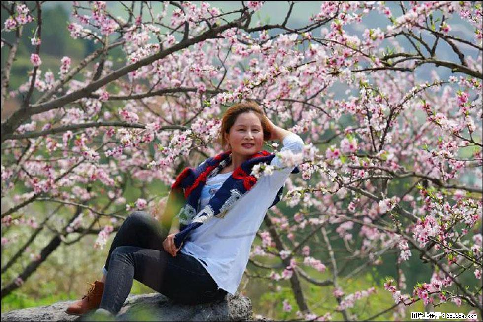 【春天，广西桂林灌阳县向您发出邀请！】望月岭上桃花开 - 游山玩水 - 呼和浩特生活社区 - 呼和浩特28生活网 hu.28life.com