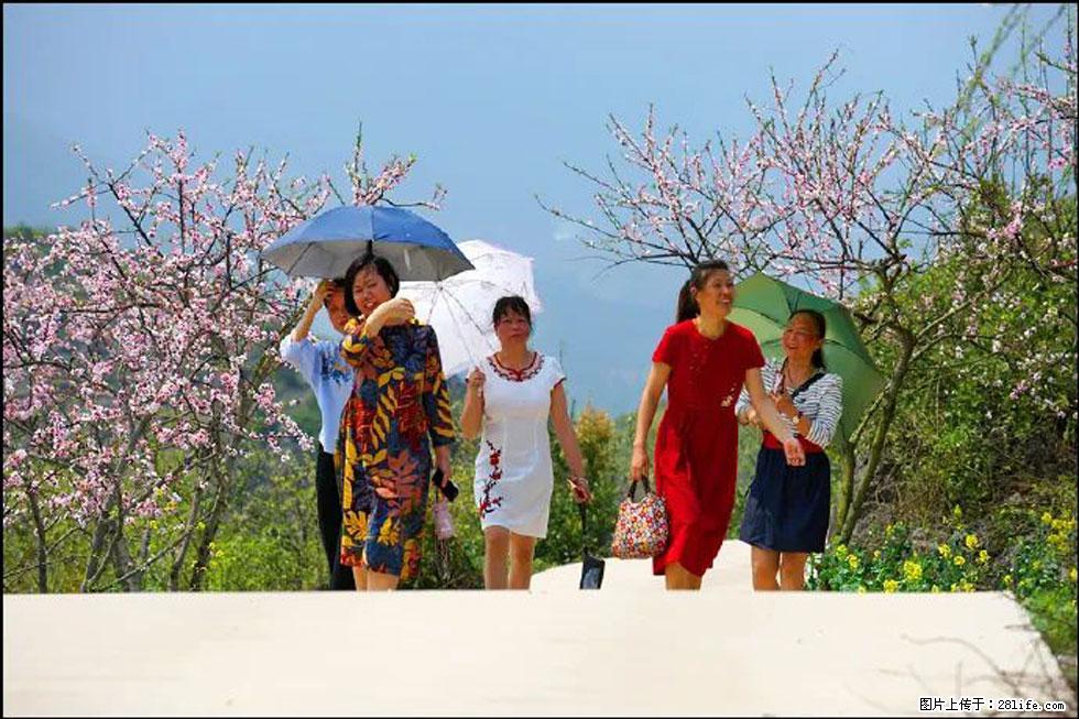【春天，广西桂林灌阳县向您发出邀请！】望月岭上桃花开 - 游山玩水 - 呼和浩特生活社区 - 呼和浩特28生活网 hu.28life.com