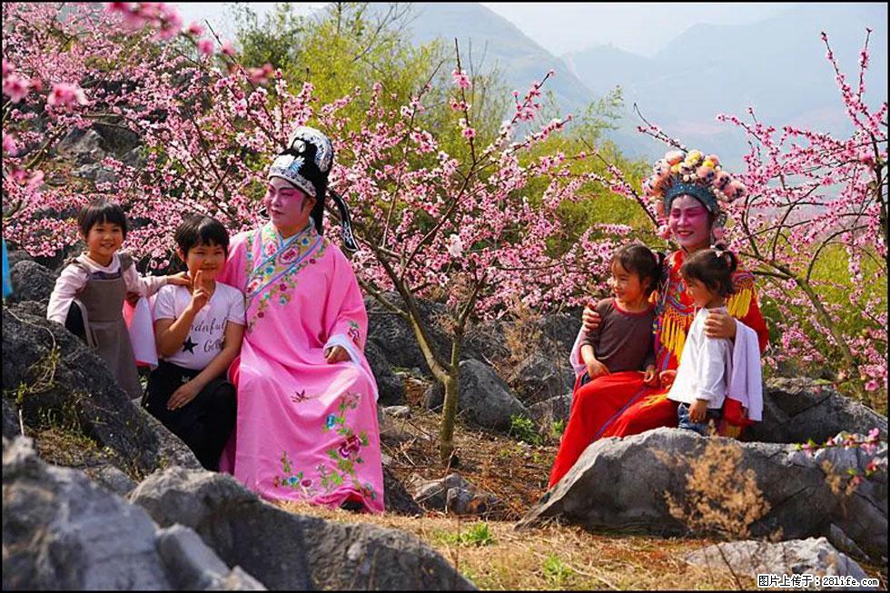【春天，广西桂林灌阳县向您发出邀请！】望月岭上桃花开 - 游山玩水 - 呼和浩特生活社区 - 呼和浩特28生活网 hu.28life.com