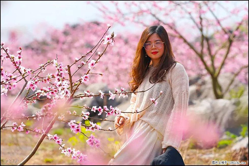 【春天，广西桂林灌阳县向您发出邀请！】望月岭上桃花开 - 游山玩水 - 呼和浩特生活社区 - 呼和浩特28生活网 hu.28life.com