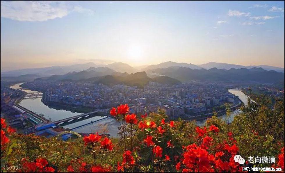 【春天，广西桂林灌阳县向您发出邀请！】登麒麟山，相约映山红 - 游山玩水 - 呼和浩特生活社区 - 呼和浩特28生活网 hu.28life.com