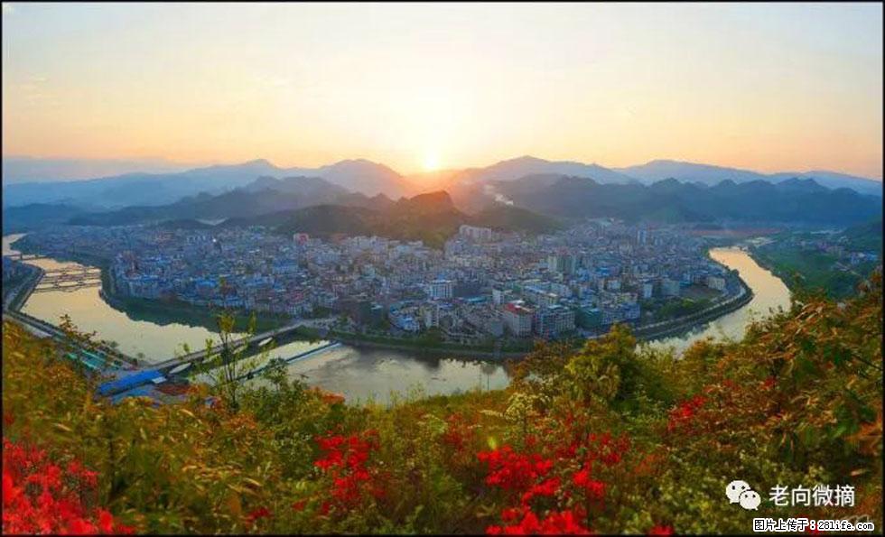 【春天，广西桂林灌阳县向您发出邀请！】登麒麟山，相约映山红 - 游山玩水 - 呼和浩特生活社区 - 呼和浩特28生活网 hu.28life.com