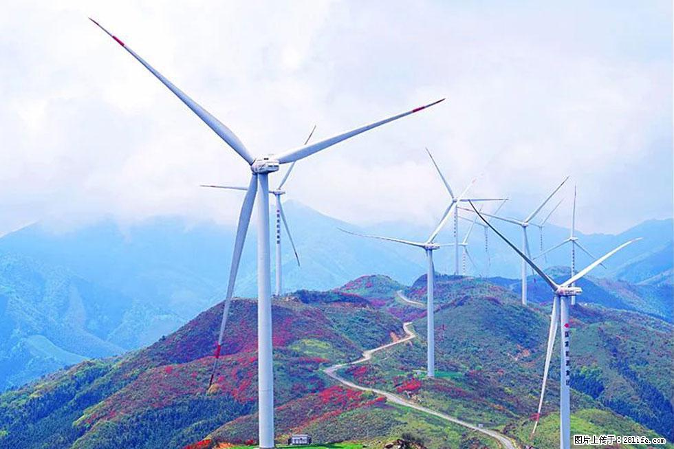 【春天，广西桂林灌阳县向您发出邀请！】春木界上映山红 - 游山玩水 - 呼和浩特生活社区 - 呼和浩特28生活网 hu.28life.com