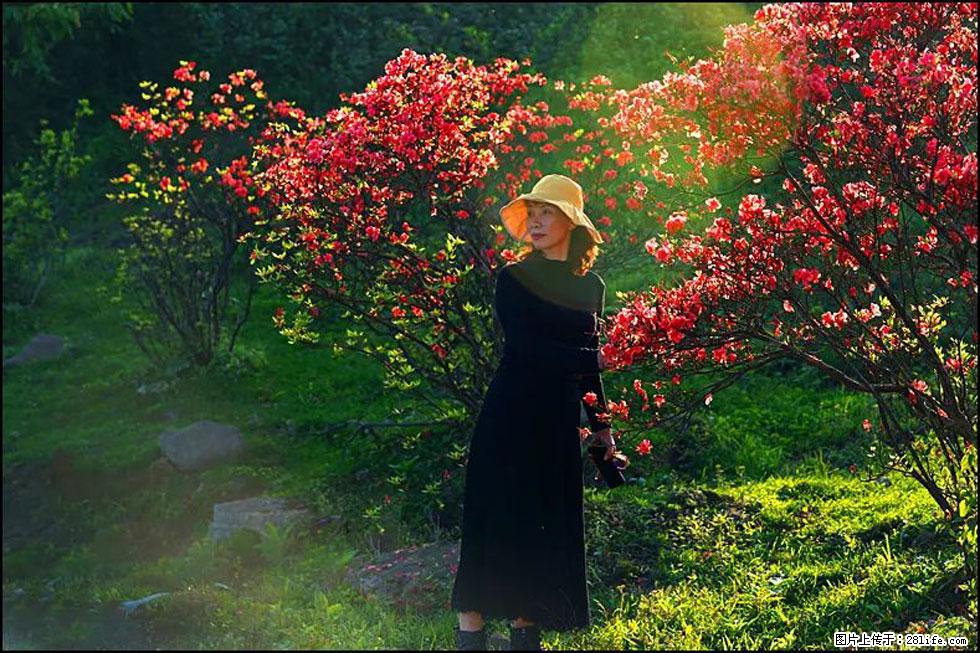 【春天，广西桂林灌阳县向您发出邀请！】春木界上映山红 - 游山玩水 - 呼和浩特生活社区 - 呼和浩特28生活网 hu.28life.com