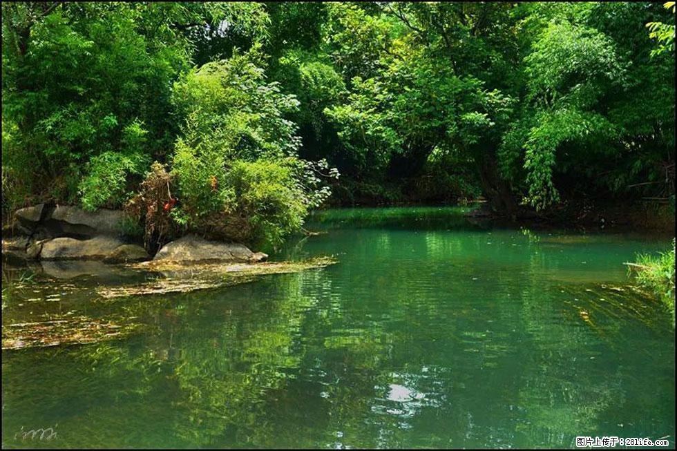 【春天，广西桂林灌阳县向您发出邀请！】如梦似幻莲溪庐 - 游山玩水 - 呼和浩特生活社区 - 呼和浩特28生活网 hu.28life.com