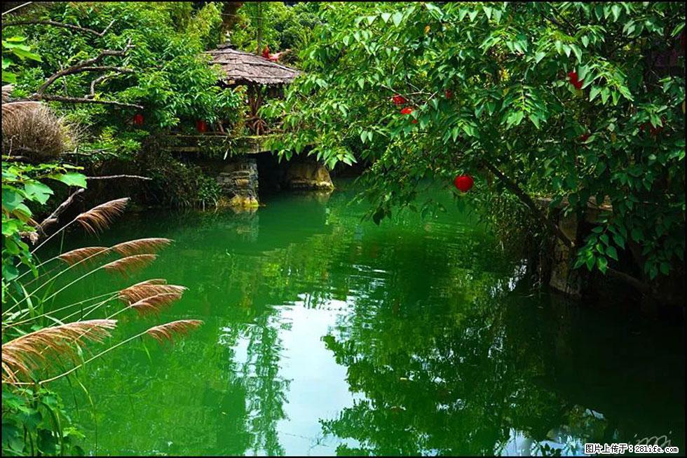【春天，广西桂林灌阳县向您发出邀请！】如梦似幻莲溪庐 - 游山玩水 - 呼和浩特生活社区 - 呼和浩特28生活网 hu.28life.com