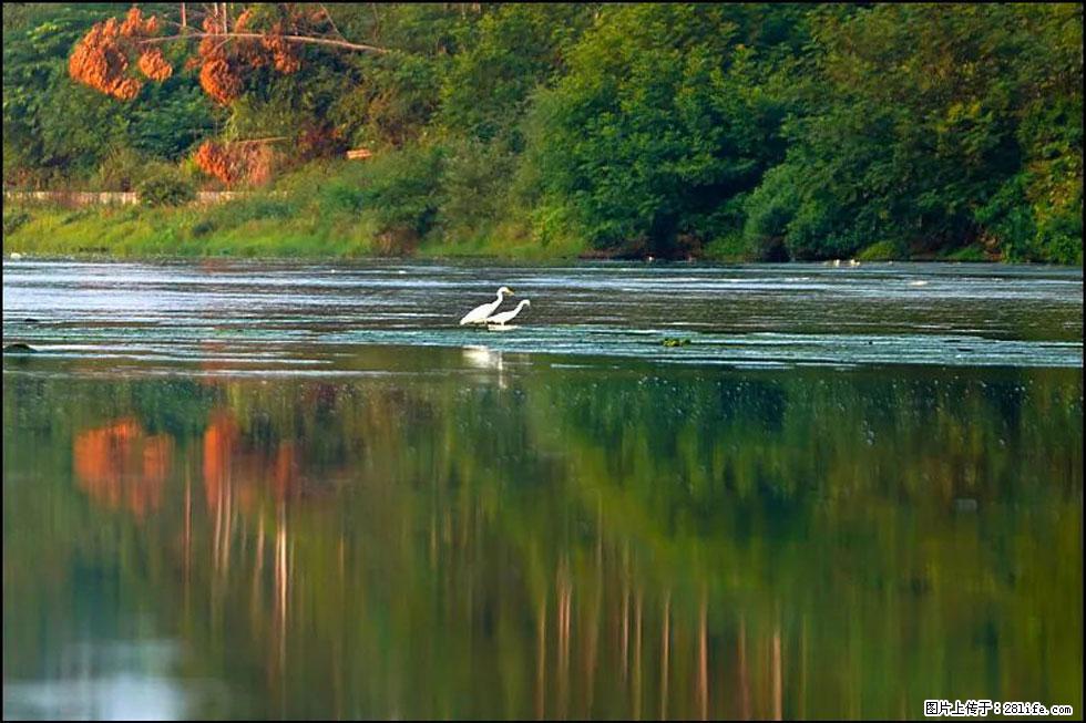【春天，广西桂林灌阳县向您发出邀请！】熊家寨湿地公园 - 游山玩水 - 呼和浩特生活社区 - 呼和浩特28生活网 hu.28life.com