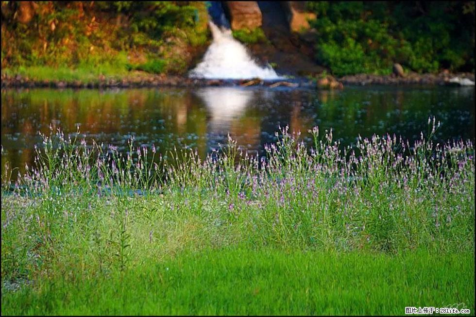 【春天，广西桂林灌阳县向您发出邀请！】熊家寨湿地公园 - 游山玩水 - 呼和浩特生活社区 - 呼和浩特28生活网 hu.28life.com