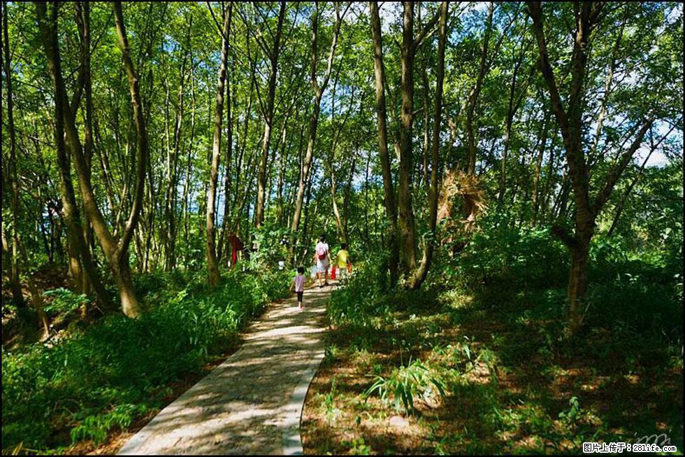 【春天，广西桂林灌阳县向您发出邀请！】熊家寨湿地公园 - 游山玩水 - 呼和浩特生活社区 - 呼和浩特28生活网 hu.28life.com