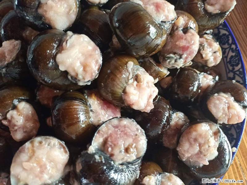 （舌尖上的乡村）灌阳：让人口齿留香的田螺酿 - 2023年07月31日 桂林日报第6版刊发 - 美食天地 - 呼和浩特生活社区 - 呼和浩特28生活网 hu.28life.com