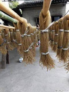 【灌阳正宗红薯粉】美女家里自己做的，干净卫生，假一赔十，价格合理，抢购电话：13737312895 - 呼和浩特28生活网 hu.28life.com