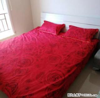 嘉茂金宇新天地C座可住4人，日租168元，可月租，酒店式公寓 - 呼和浩特28生活网 hu.28life.com