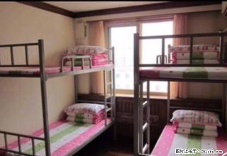 (单间出租)真实图片海亮公寓拎包月租,押金100男女不限,量大，市中心 - 呼和浩特28生活网 hu.28life.com