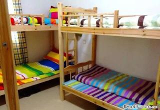 (单间出租)海亮新开女生公寓 采光通透 安全干净卫生舒适 拎包入住 - 呼和浩特28生活网 hu.28life.com