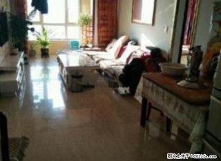 众德主推 万锦枫泽湾 精装修 采光好 拎包入住 包暖包物业 - 呼和浩特28生活网 hu.28life.com