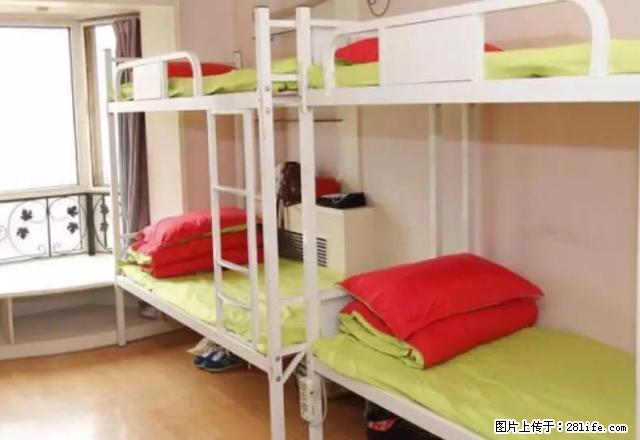 (单间出租)地暖月付无押金 全封闭围帘 上铺高1米6 - 房屋出租 - 房屋租售 - 呼和浩特分类信息 - 呼和浩特28生活网 hu.28life.com