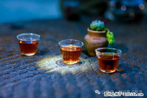 时间果百年古树2025年春红茶 - 购物交流 - 呼和浩特生活社区 - 呼和浩特28生活网 hu.28life.com