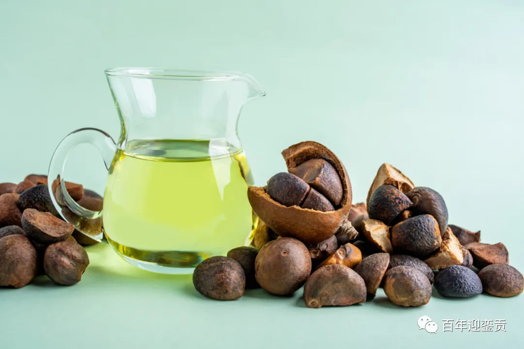 世界没有真相,只有认知,最好的食用油是中国的山茶油! - 呼和浩特生活资讯 - 呼和浩特28生活网 hu.28life.com