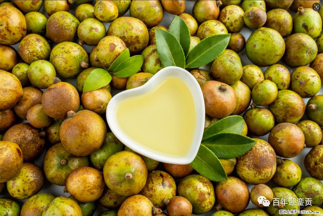 世界没有真相,只有认知,最好的食用油是中国的山茶油! - 呼和浩特生活资讯 - 呼和浩特28生活网 hu.28life.com