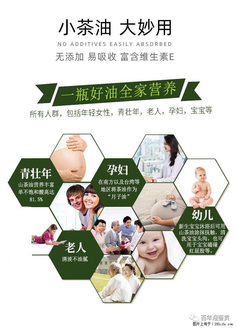 世界没有真相,只有认知,最好的食用油是中国的山茶油! - 呼和浩特生活资讯 - 呼和浩特28生活网 hu.28life.com