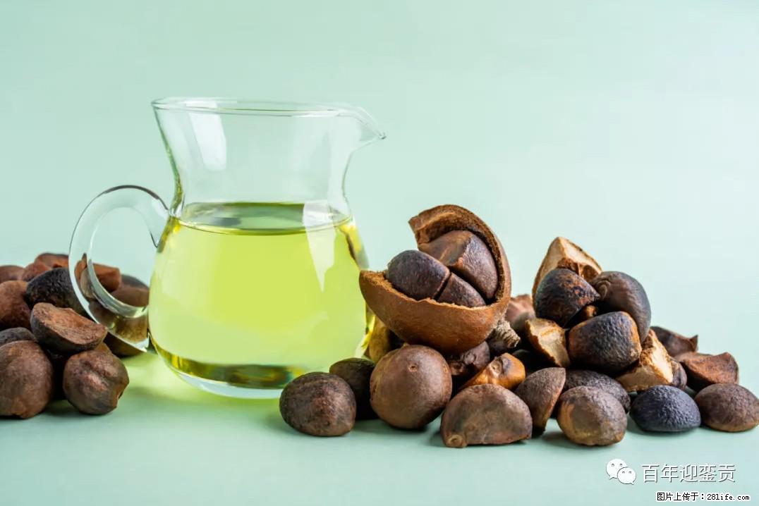 世界没有真相，只有认知，最好的食用油是中国的山茶油！ - 呼和浩特生活资讯 - 呼和浩特28生活网 hu.28life.com
