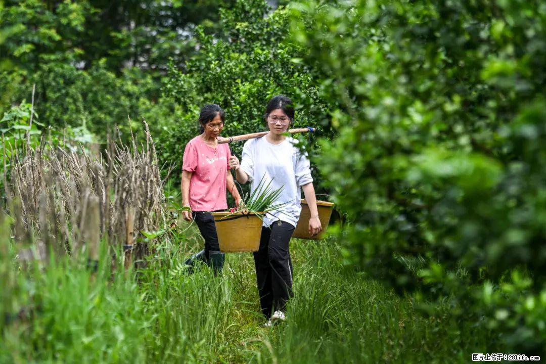 全网追的“扁担女孩”,找了一份暑假工,时薪12元 - 呼和浩特生活资讯 - 呼和浩特28生活网 hu.28life.com