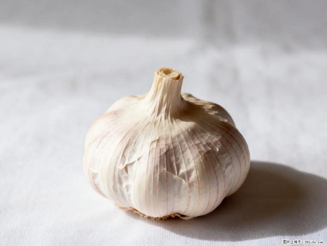 关于大蒜，除了“天然抗生素”，这4个谣言更该警惕! - 呼和浩特生活资讯 - 呼和浩特28生活网 hu.28life.com