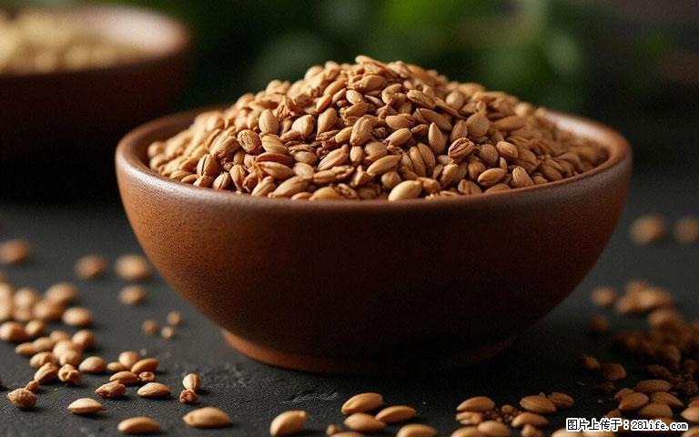 这三苦是三高“克星”，心血管干净不易堵！每天吃一点，指标慢慢降下来~ - 呼和浩特生活资讯 - 呼和浩特28生活网 hu.28life.com