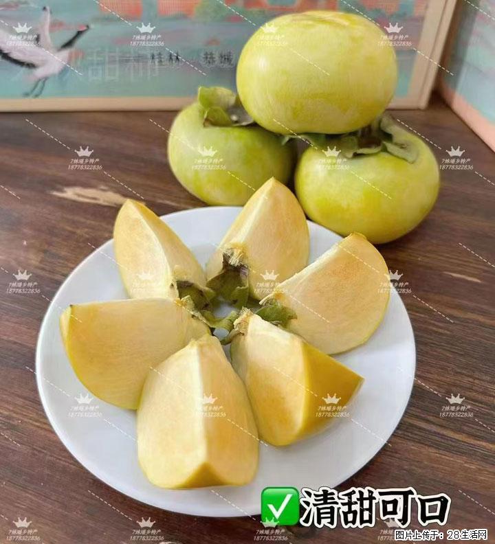 广西桂林平乐桥亭【红心猕猴桃】、【大秋甜柿】上市啦，欢迎各位新老客户下单（另有少量小果出售） - 呼和浩特生活资讯 - 呼和浩特28生活网 hu.28life.com